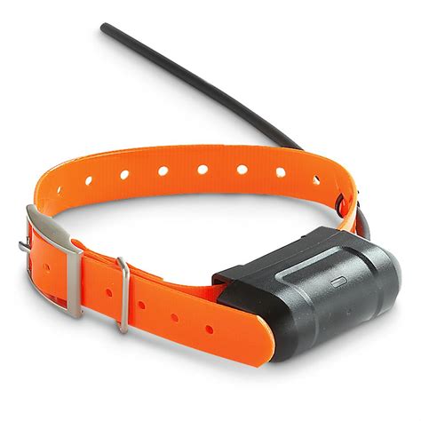 Gps collar. Things To Know About Gps collar. 